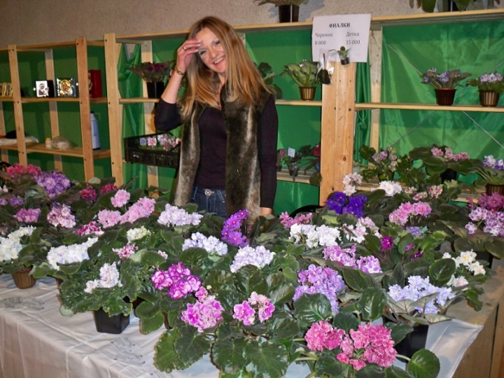 ФИАЛКИ В БЕЛАРУСИ, СТРЕПТОКАРПУСЫ В БЕЛАРУСИ, СТРЕПТОКАРПУСЫ В МОГИЛЕВЕ ...